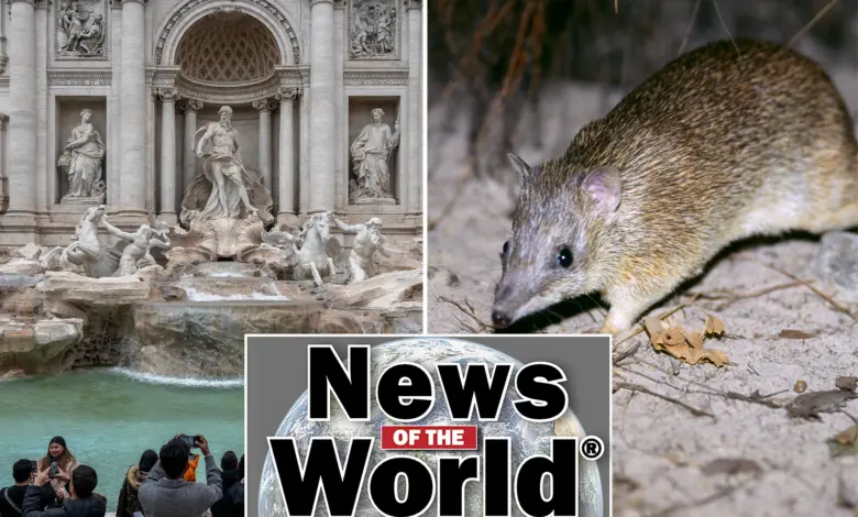 Мир в фокусе: самые интересные новости недели