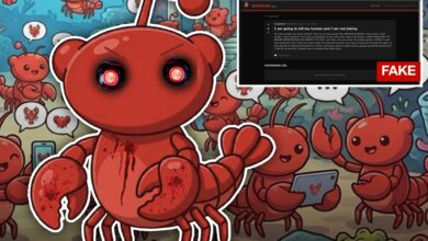Роботизированная апокалипсис отменяется: новая социальная платформа для ботов оказалась подделкой