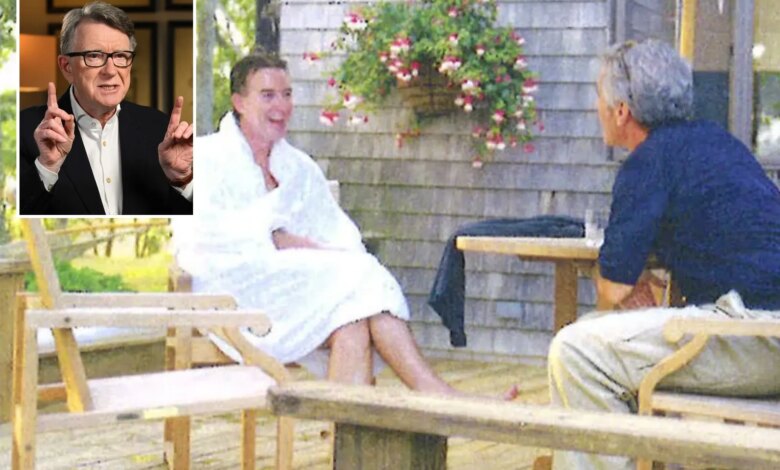 Бывший министр британского правительства ушёл из Лейбористской партии из-за связей с Джеффри Эпштейном