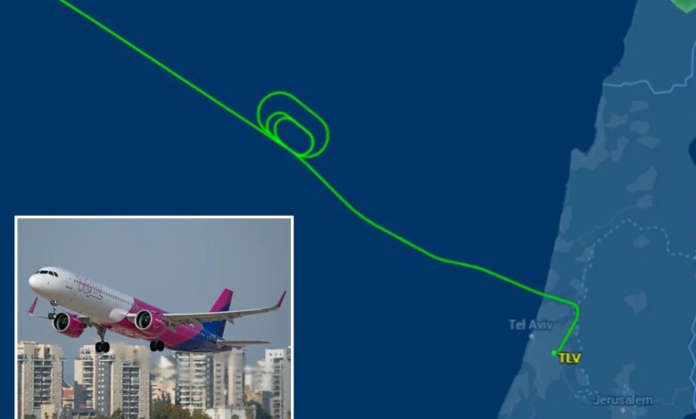 Ложная тревога на борту: израильские истребители сопровождают пассажирский самолет после сообщения о "террористе"