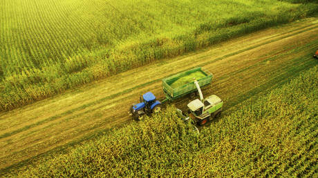 Россия обогнала Запад: половина новых долларовых миллиардеров заработала состояние на производстве продуктов питания