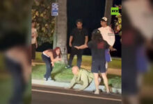 Нападение на предполагаемого агента иммиграционной службы во время массовых протестов «Нет королям» в США