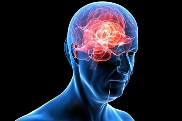 Ученые узнали влияние кокаина на мозг человека