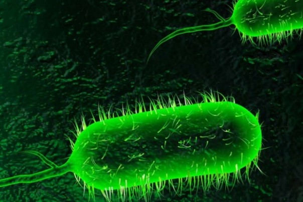 NASA проверит ГМО-бактерии в космосе