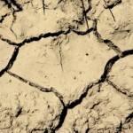 Проблемы засухи в Джанкойском районе Крыма решают воронежские ученые