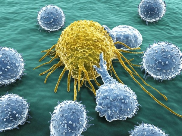 Химиотерапия может содействовать развитию рака — Ученые