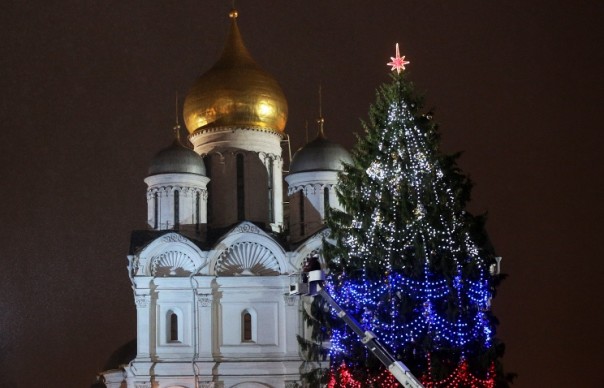 Главную новогоднюю елку страны привезут из Подмосковья 18 декабря