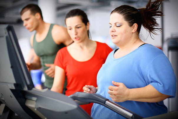 Ожирение может появиться в итоге изменения микрофлоры кишечника