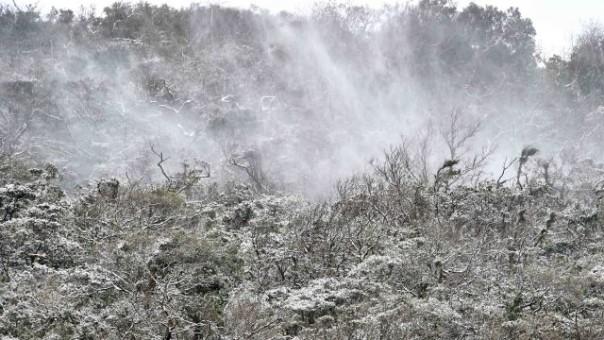 57 граждан Тайваня погибли из-за похолодания до