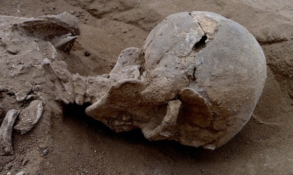 Найдены следы древнейшей войны на Земле