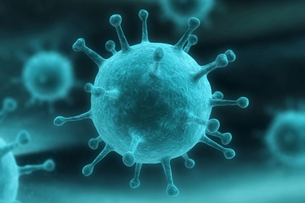 Ученые назвали три вида гриппа, которые намного опаснее «свиного»