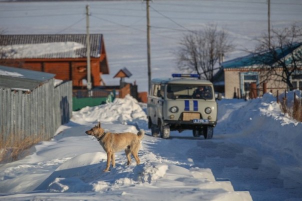Бойня в Челябинской области: найдены 4 трупа