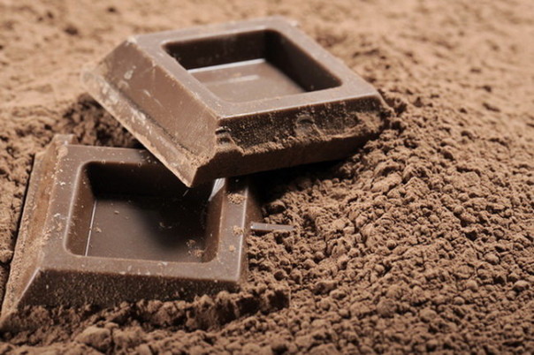 Ученые: Шоколад дает возможность сделать человека благоразумнее
