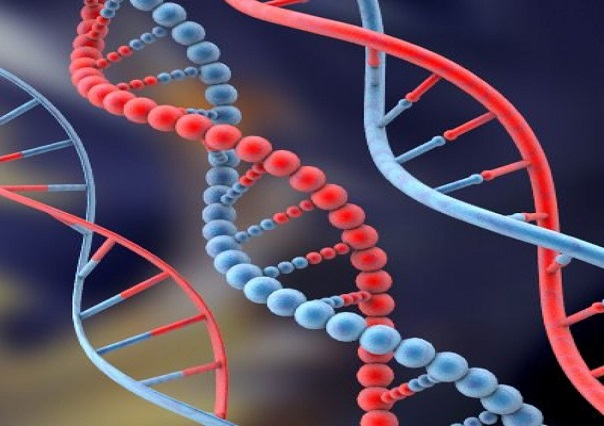 Ученые: Фрагменты старинных вирусов в ДНК помогают человеку выжить