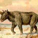 Люди и «единороги» могли существовать на Земле в одно время