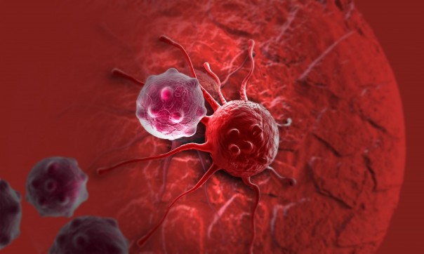 Иммунная система в состоянии побороть рак — Ученые