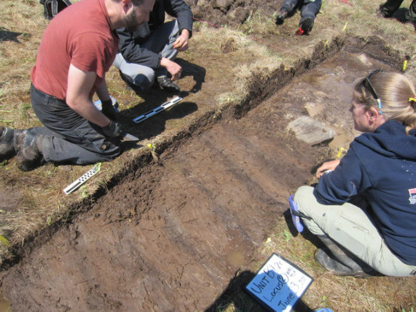 В сша ученые отыскали древнее поселение викингов