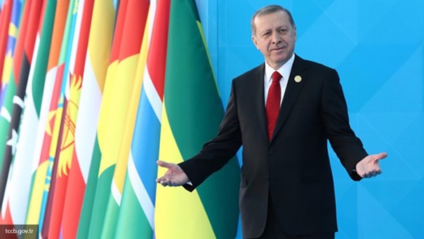 Зачитавшего стихотворение про Эрдогана германского политика задержали