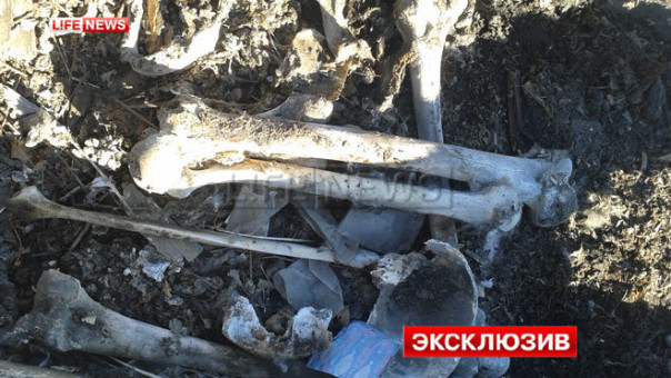 В Омске на крыше дома отыскали человеческие кости и учебник по химии