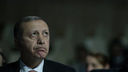 За статью об Эрдогане турецкие власти арестовали голландскую журналистку