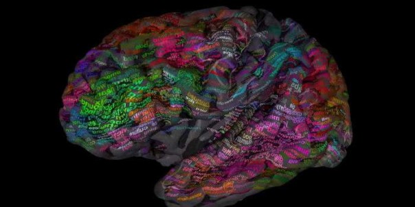 Ученые отыскали в человеческом мозге «хранилище слов»