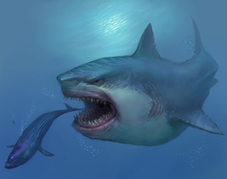 Стала известна причина вымирания наибольшей акулы на Земле