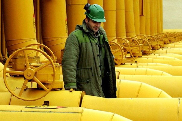 Порошенко предложили запретить на Украине природный газ в пользу альтернативных энергоносителей