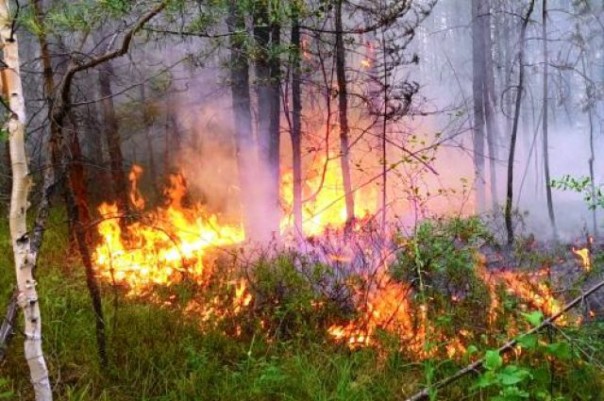 На Камчатке локализовали природный пожар, угрожавший райцентру