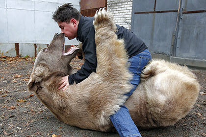 Русская семья Пантелеенко воспитала 140-килограммового медведя Степана