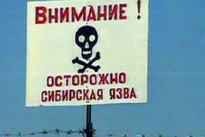 В Казахстане скончались двое мужчин с подозрением на сибирскую язву