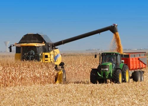 В Южном Казахстане уборка зерновых началась ранее на 2 недели