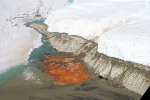 Ученые: Красные водоросли ускоряют таяние ледников Арктики