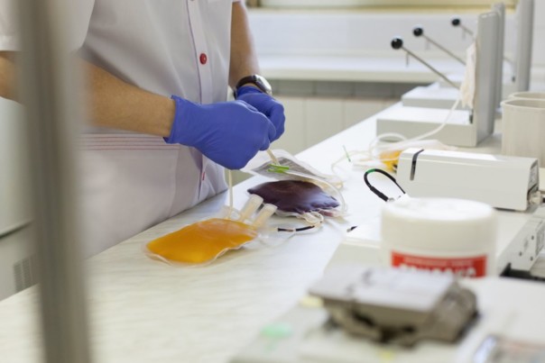 В Японии планируют наладить массовый выпуск искусственной крови