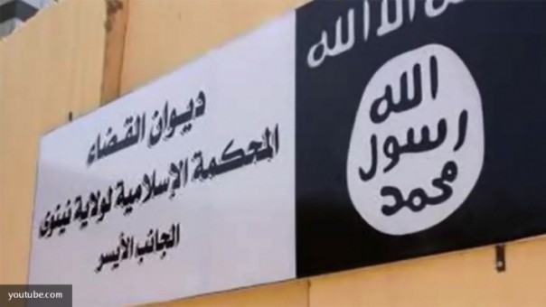 Немецкая агентура нашла списки вернувшихся из ИГИЛ исламистов