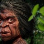Ученые: Люди жили рядом с «хоббитами» на острове Флорес