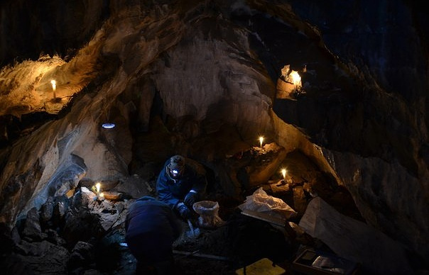 В Башкирии археологи ведут раскопки кладбища пещерных львов