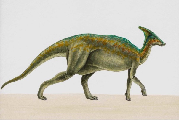 В Румынии отыскали первого динозавра с опухолью челюсти