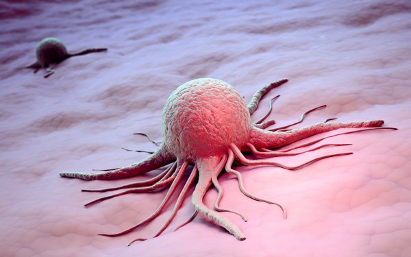 Карта белков-мутантов несомненно поможет искать уязвимости раковых клеток — Ученые