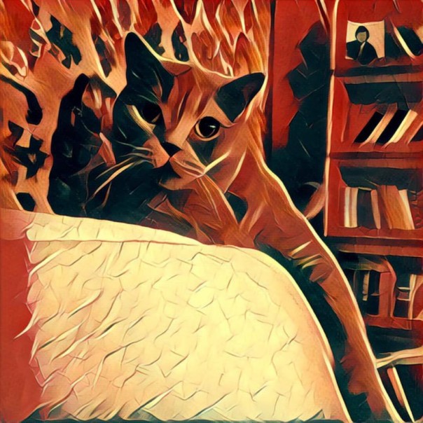 Prisma сейчас может работать в офлайне