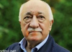 490075020367212210 240x172