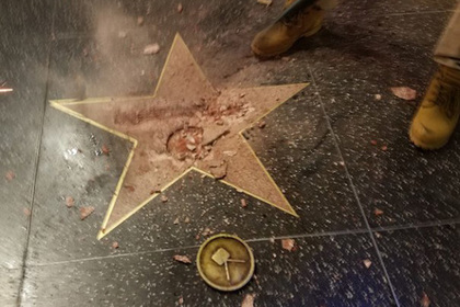 Мужчина с кувалдой испортил звезду Трампа в Голливуде