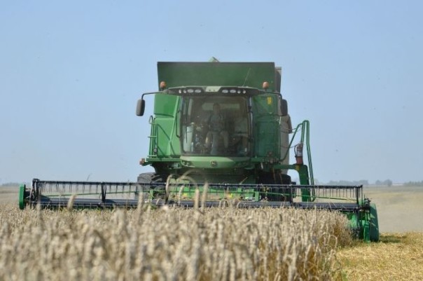В Саратовской области собрали 4,1 млн тонн зерна