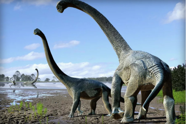 Ученые отыскали останки неизвестных динозавров-гигантов