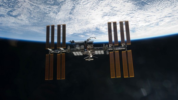 Русские космонавты будут растить перец на МКС