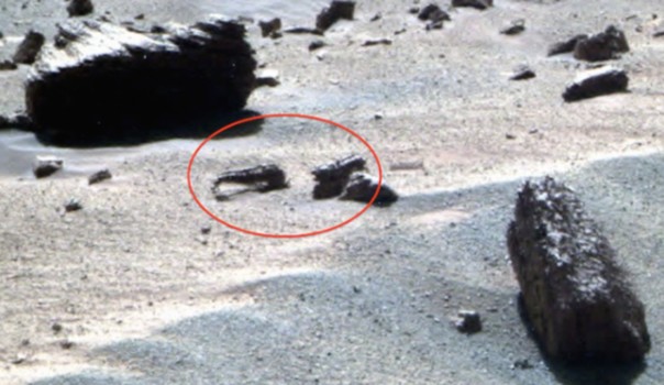 Уфологи увидели на фотографиях Марса неизвестных животных