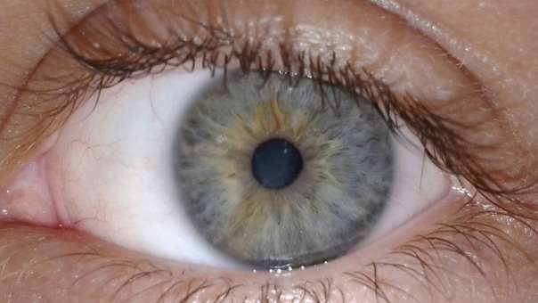 Ученые поведали, почему людям трудно смотреть друг другу в глаза