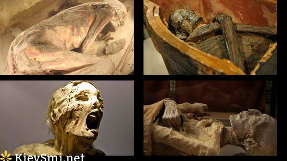 Тайна старинных мумий раскрыта — Ученые