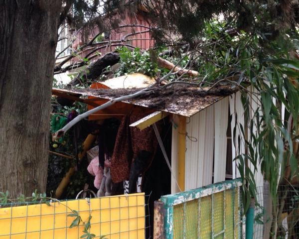 В Сочи эвакуировали семью с сыном, на дом корой рухнуло дерево