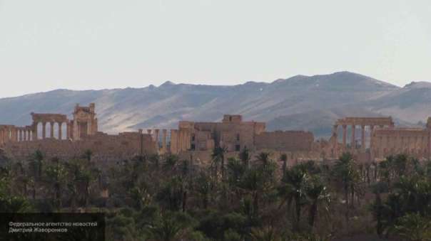 Сирия Пальмира находится под контролем САА — СМИ