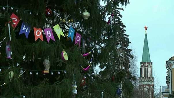 Сегодня в Подмосковье срубят главную новогоднюю елку страны